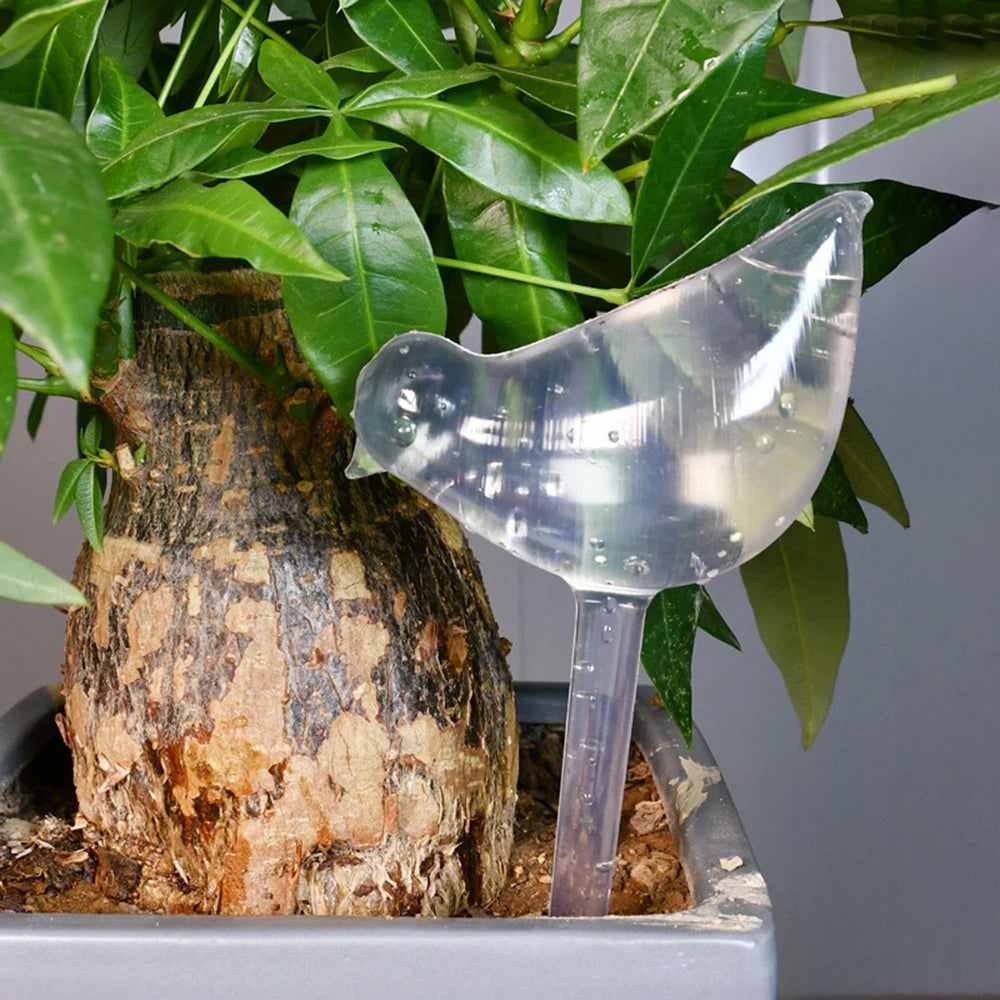 Bolas de riego automático para plantas (tulipán)