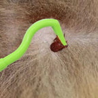 Ganchos quitagarrapatas para perros y gatos