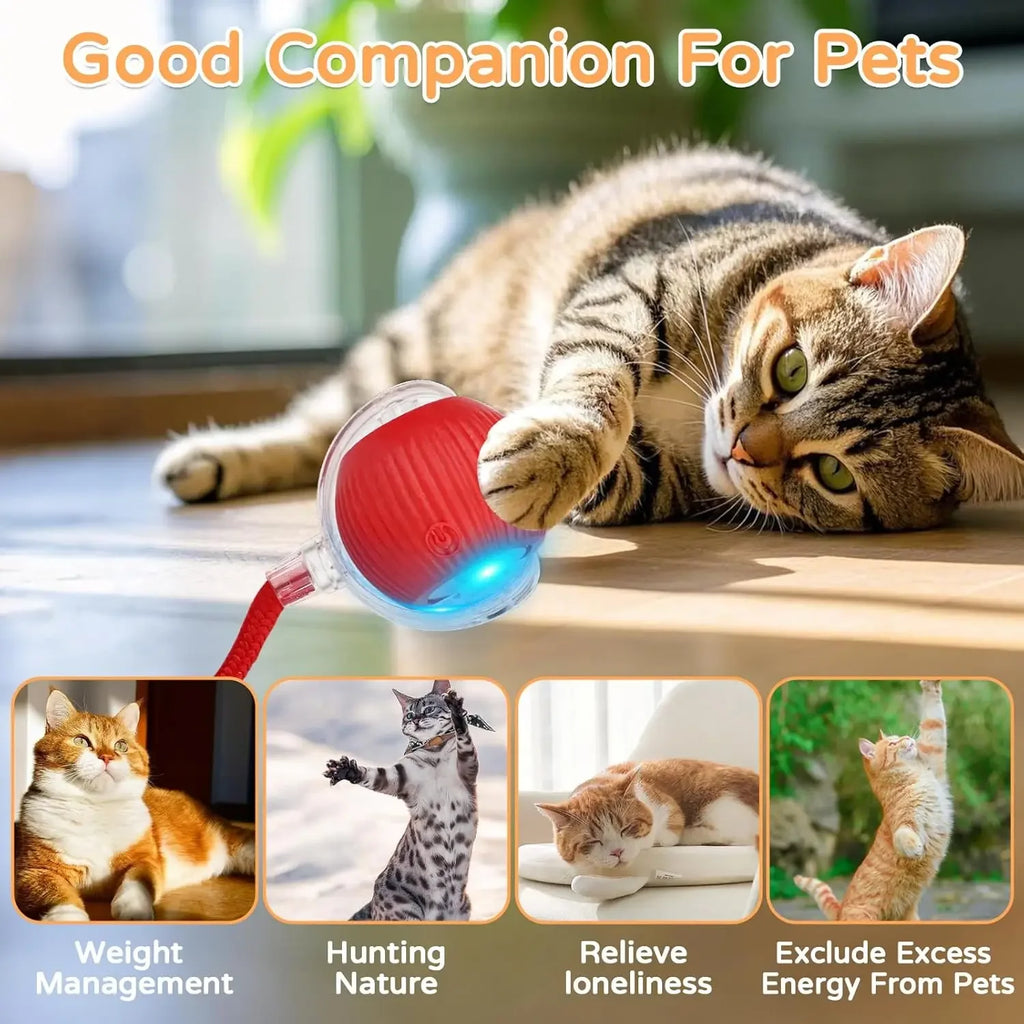 Pelota interactiva automática para gatos