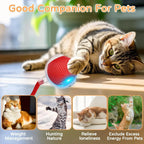 Pelota interactiva automática para gatos