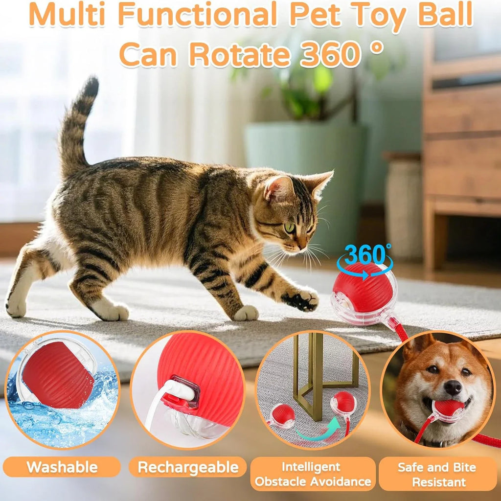 Pelota interactiva automática para gatos